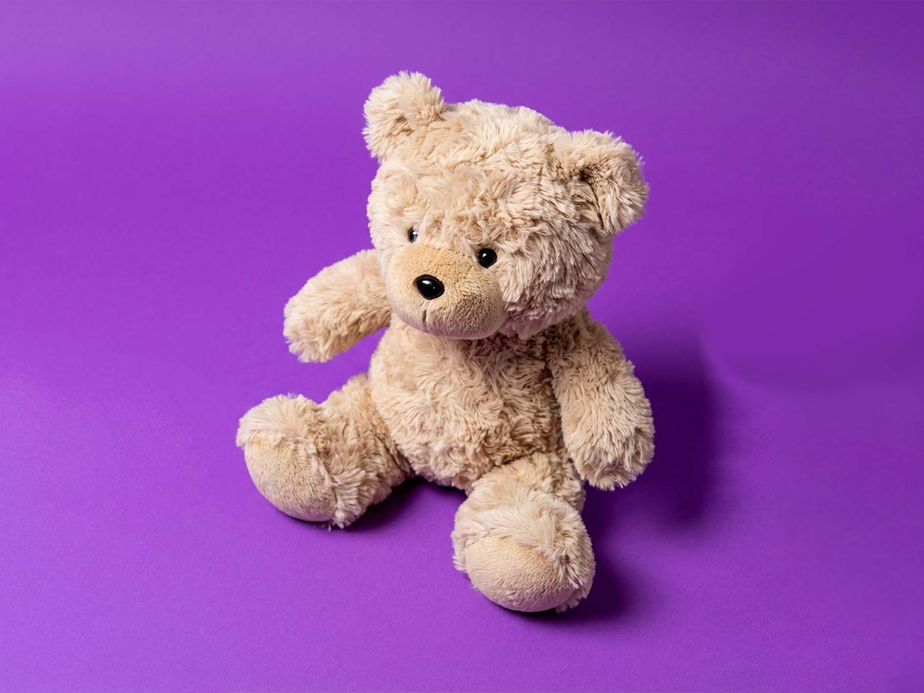 Warm Bear AI Plush Toy